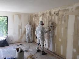 Forensic Mold Investigation in Latta, OK